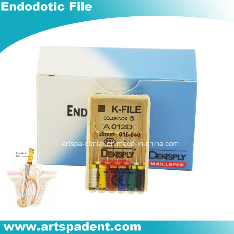 Dental Endodotic Dentsply K-File Root Cannal Hand File