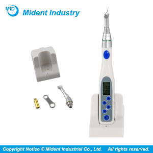 New Type Auto Dental Wireless Endo Motor Price