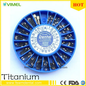 Dental Implants Orthodontic Titanium Micro Screw